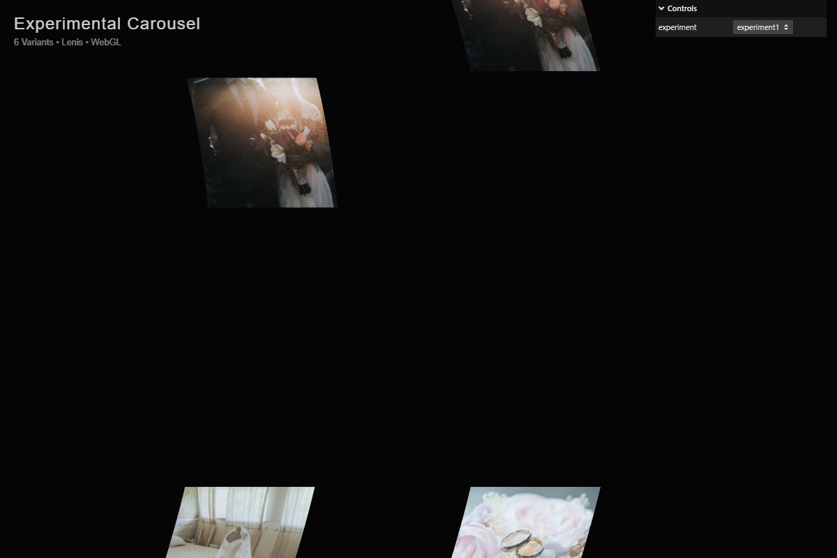 EXPERIMENTAL CAROUSEL