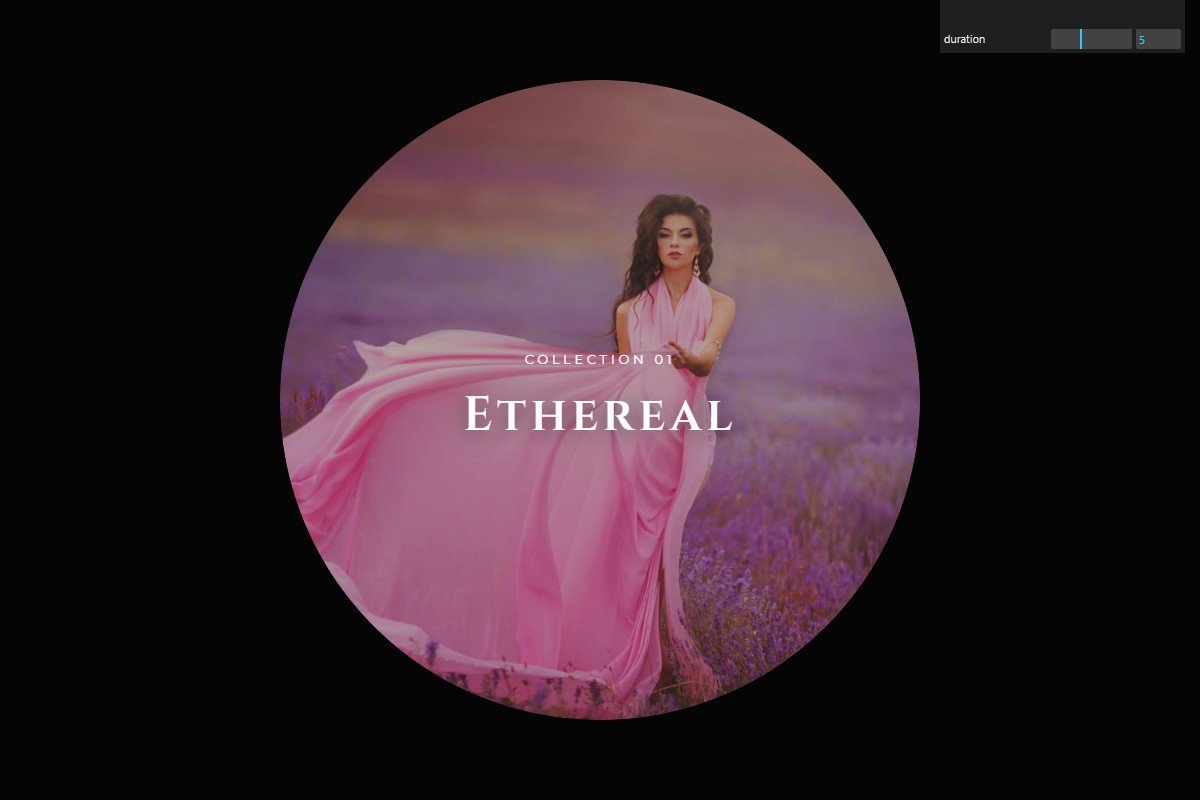 Vortex Spiral Gallery